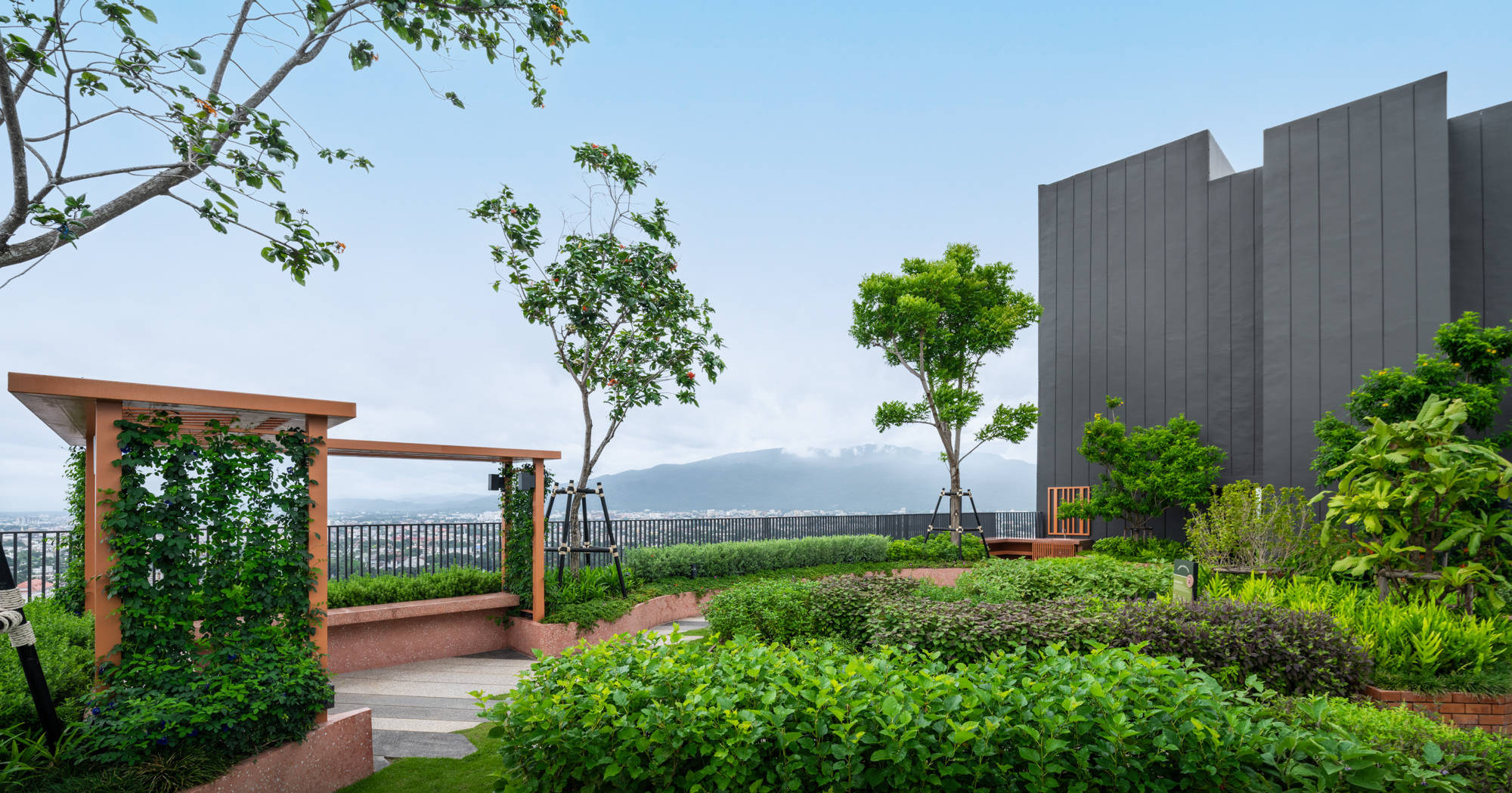 TBH_CNX_LOT-1_RESIZE-002